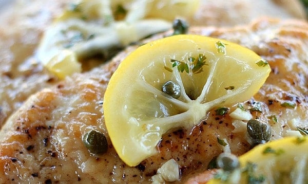 Chicken Piccata with lemon and capers up close