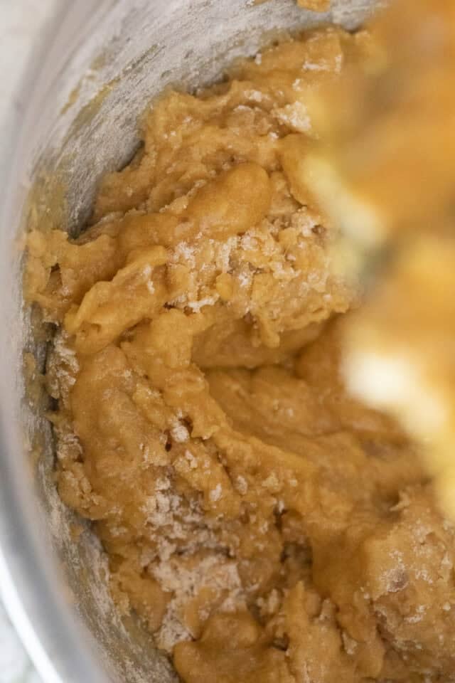 Closeup of batter just after flour mixed in.