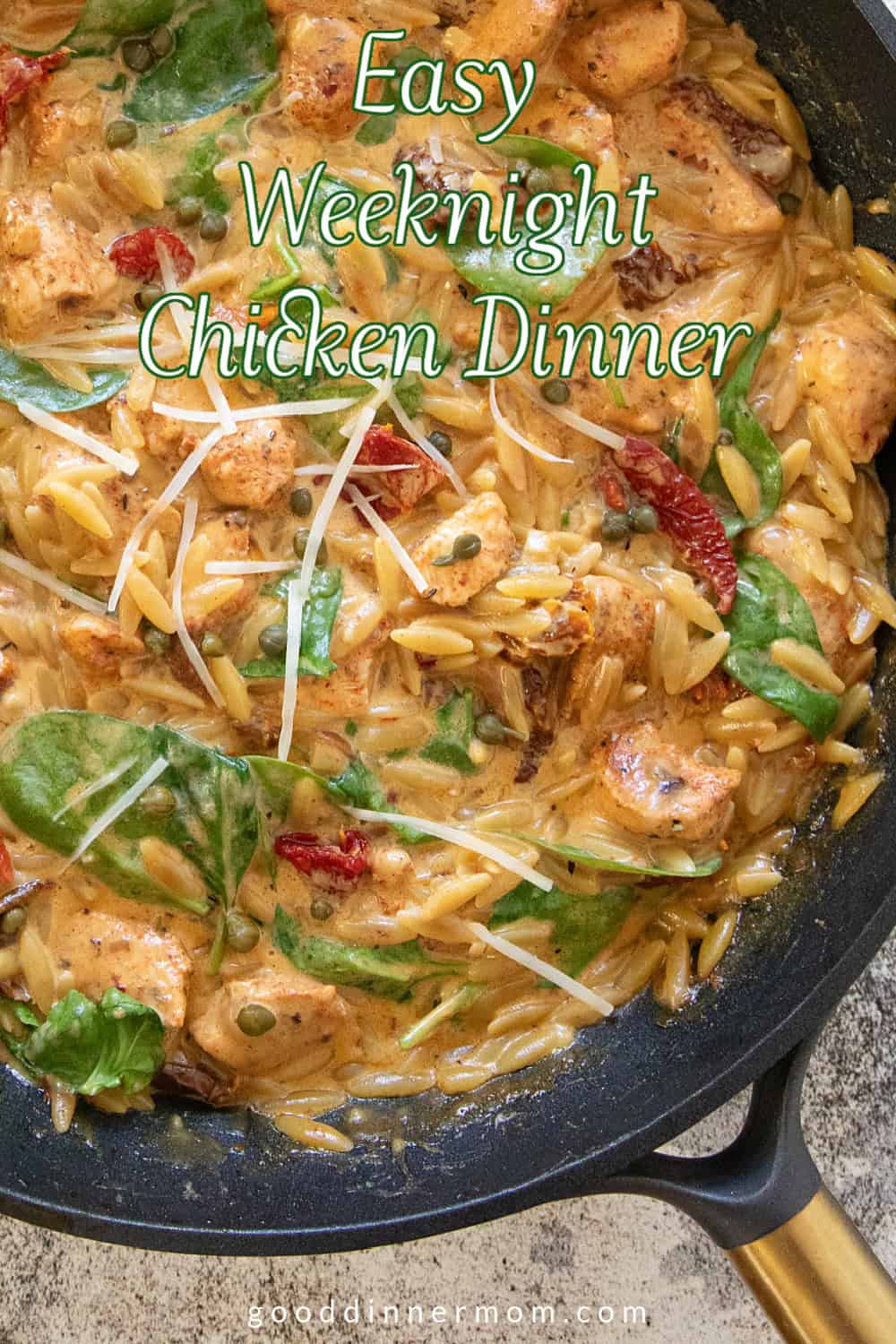 Closeup of Creamy Chicken Orzo