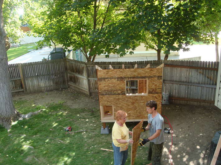  building a chicken coop