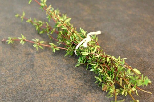 Bouquet of thyme 
