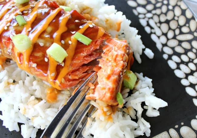Teriyaki Salmon close up picture on a plate with rice