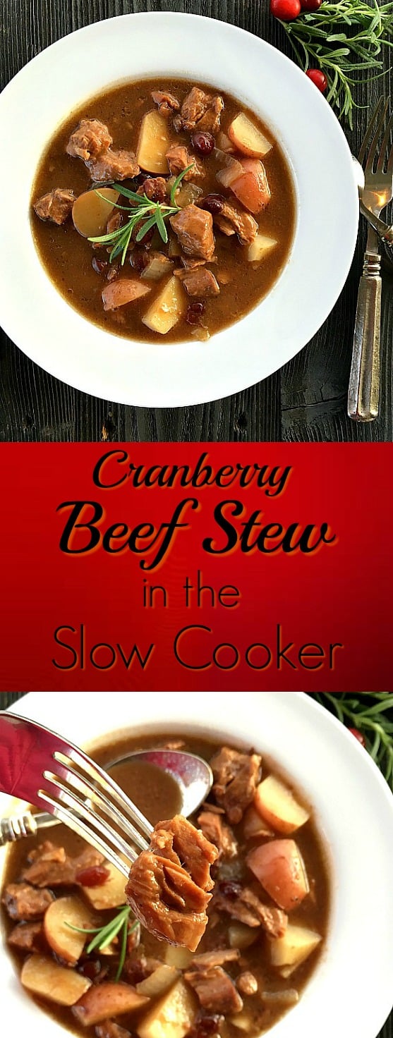 Cranberry Beef Stew pinterest pin